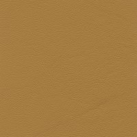 BULL - Mustard