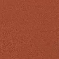 SUAVE - Orange