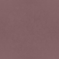 DUBAI - Rosa