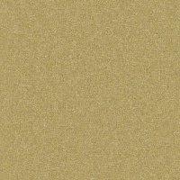 B169 Tweed Citrus