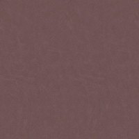 N013 Genesis Plum