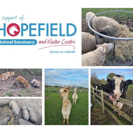 A Heartfelt Thank You to Our Team at Roomes. We want to give a huge shoutout to Lauren, Gemma and Jen...