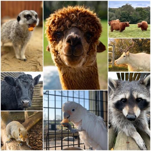 As you know, throughout November we’re donating £10 from every order over £500 to support the inc...